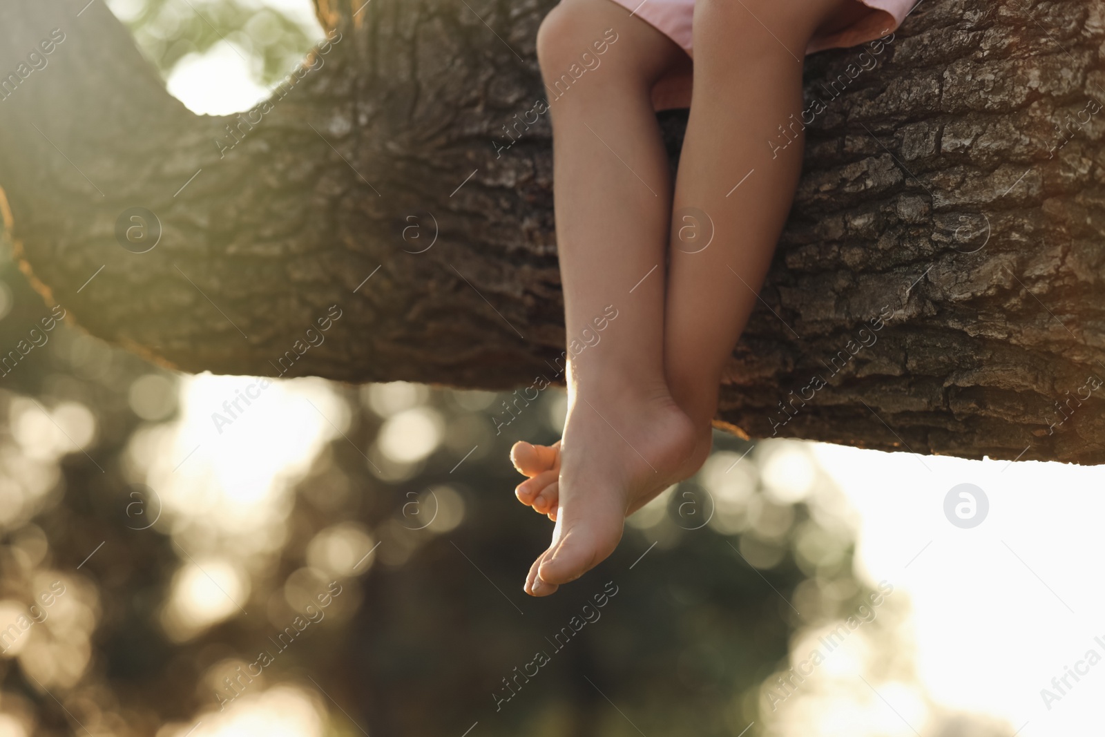 Little girl sitting on tree outdoors, closeup. Child spending time in nature Photo of Little girl sitting on tree outdoors, closeup. Child spending time in nature