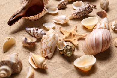 Beautiful seashells and starfish on beach sand, closeup. Summer vacation Photo of Beautiful seashells and starfish on beach sand, closeup. Summer vacation