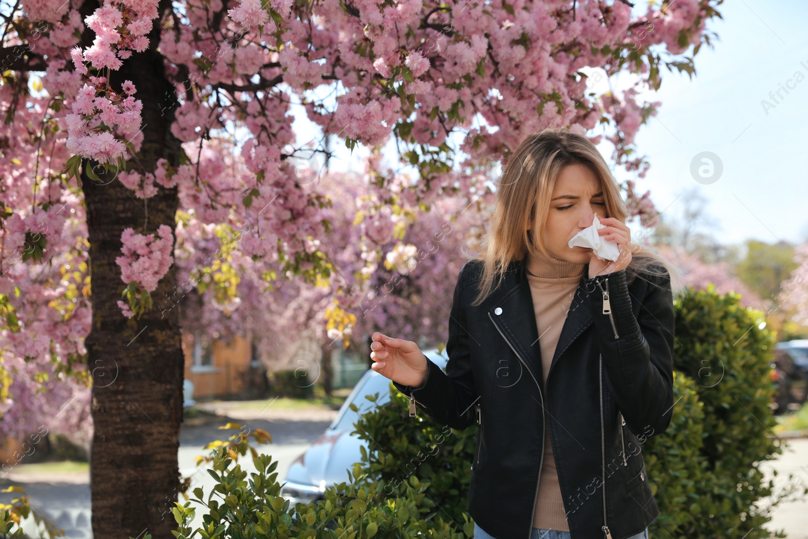 Woman suffering from seasonal pollen allergy near blossoming tree outdoors Photo of Woman suffering from seasonal pollen allergy near blossoming tree outdoors