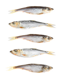 Set of tasty dry fish on white background Image of Set of tasty dry fish on white background