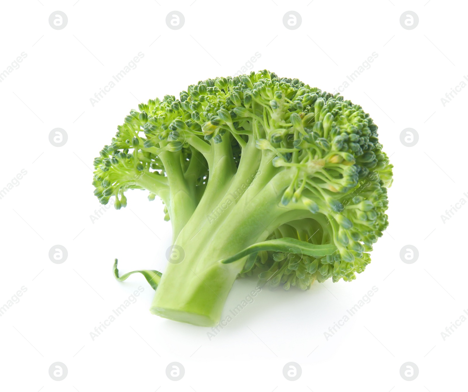 Fresh broccoli isolated on white. Edible green plant Photo of Fresh broccoli isolated on white. Edible green plant