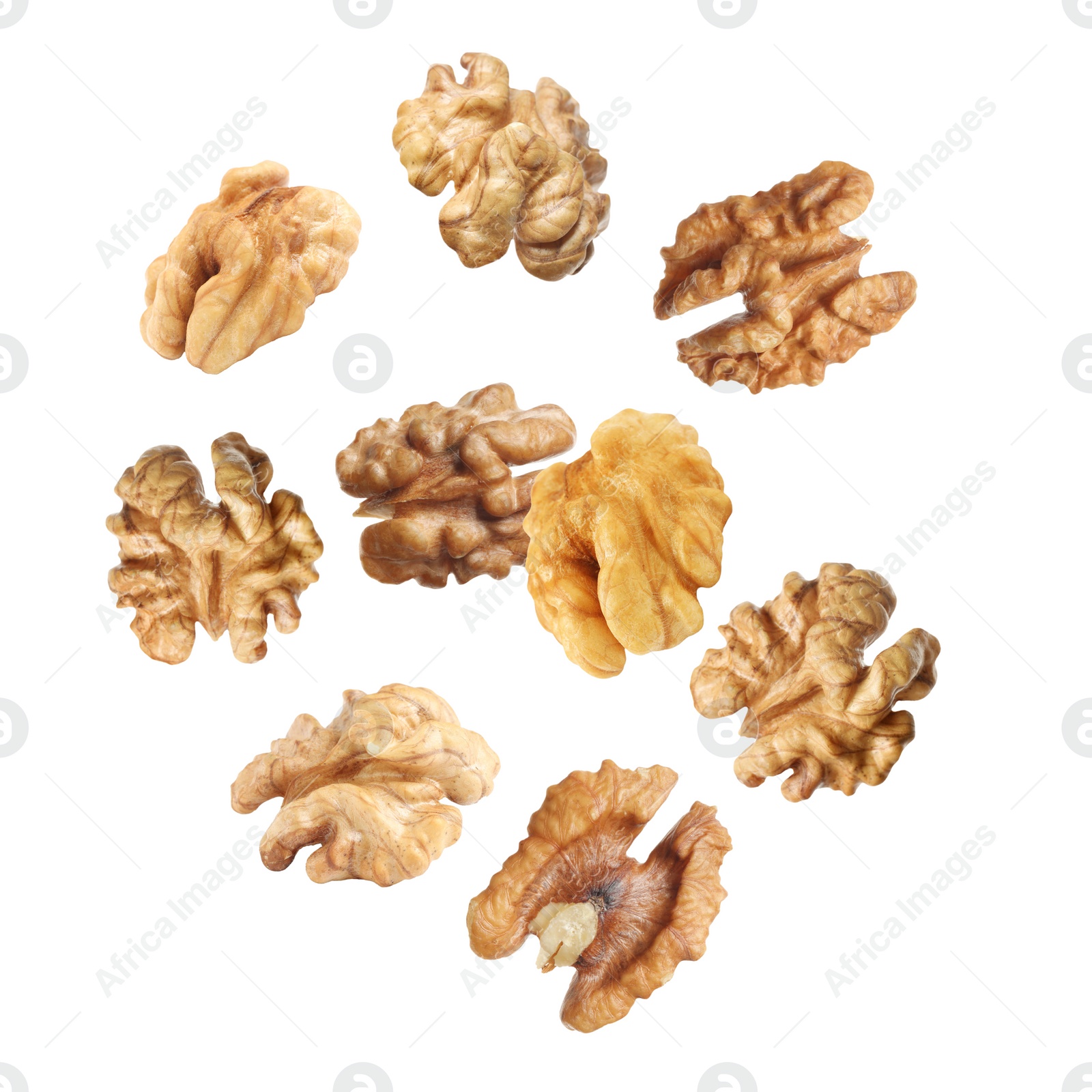 Halves of walnuts falling on white background Image of Halves of walnuts falling on white background