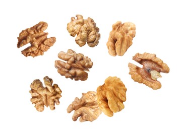 Halves of walnuts falling on white background Image of Halves of walnuts falling on white background