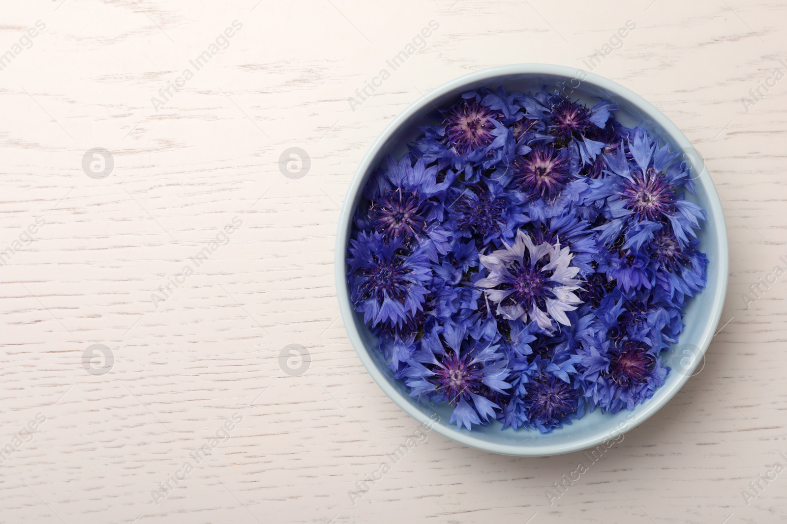 Beautiful colorful cornflowers in bowl on white wooden table, top view. Space for text Photo of Beautiful colorful cornflowers in bowl on white wooden table, top view. Space for text