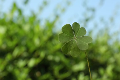 Green four leaf clover on blurred background. Space for text Photo of Green four leaf clover on blurred background. Space for text