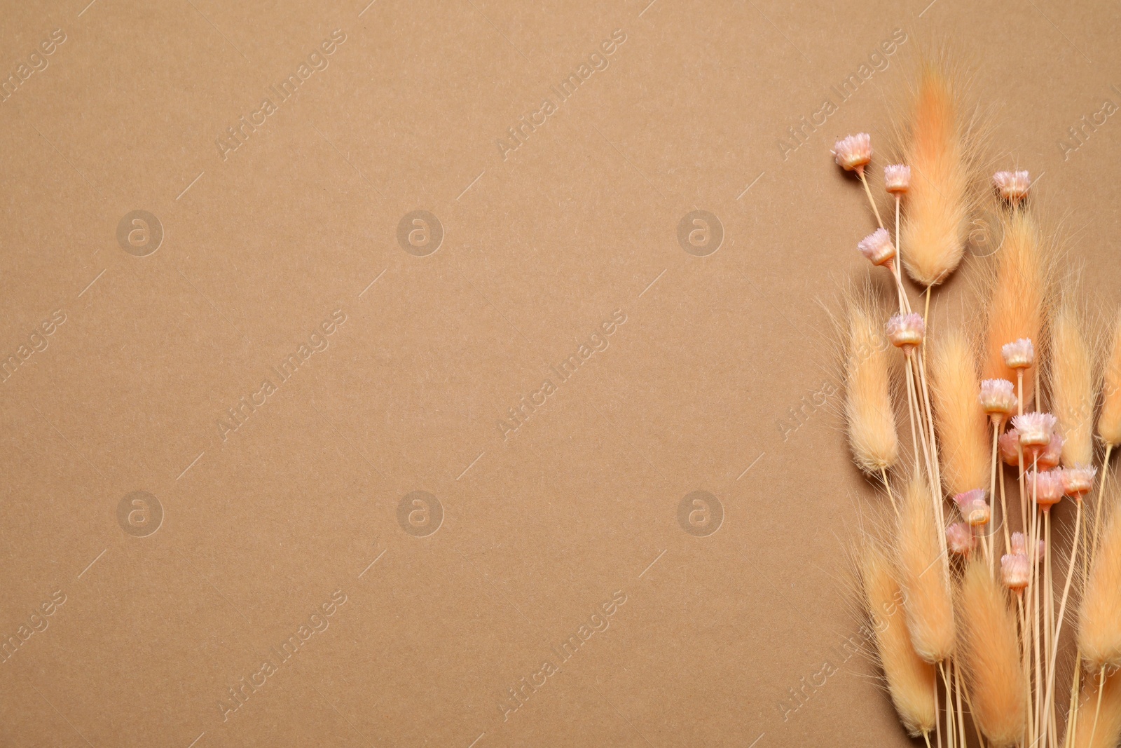 Bouquet of dried flowers on light brown background, flat lay. Space for text Photo of Bouquet of dried flowers on light brown background, flat lay. Space for text