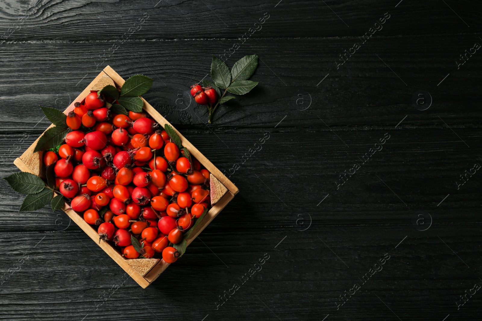 Ripe rose hip berries with green leaves on black wooden table, flat lay. Space for text Photo of Ripe rose hip berries with green leaves on black wooden table, flat lay. Space for text