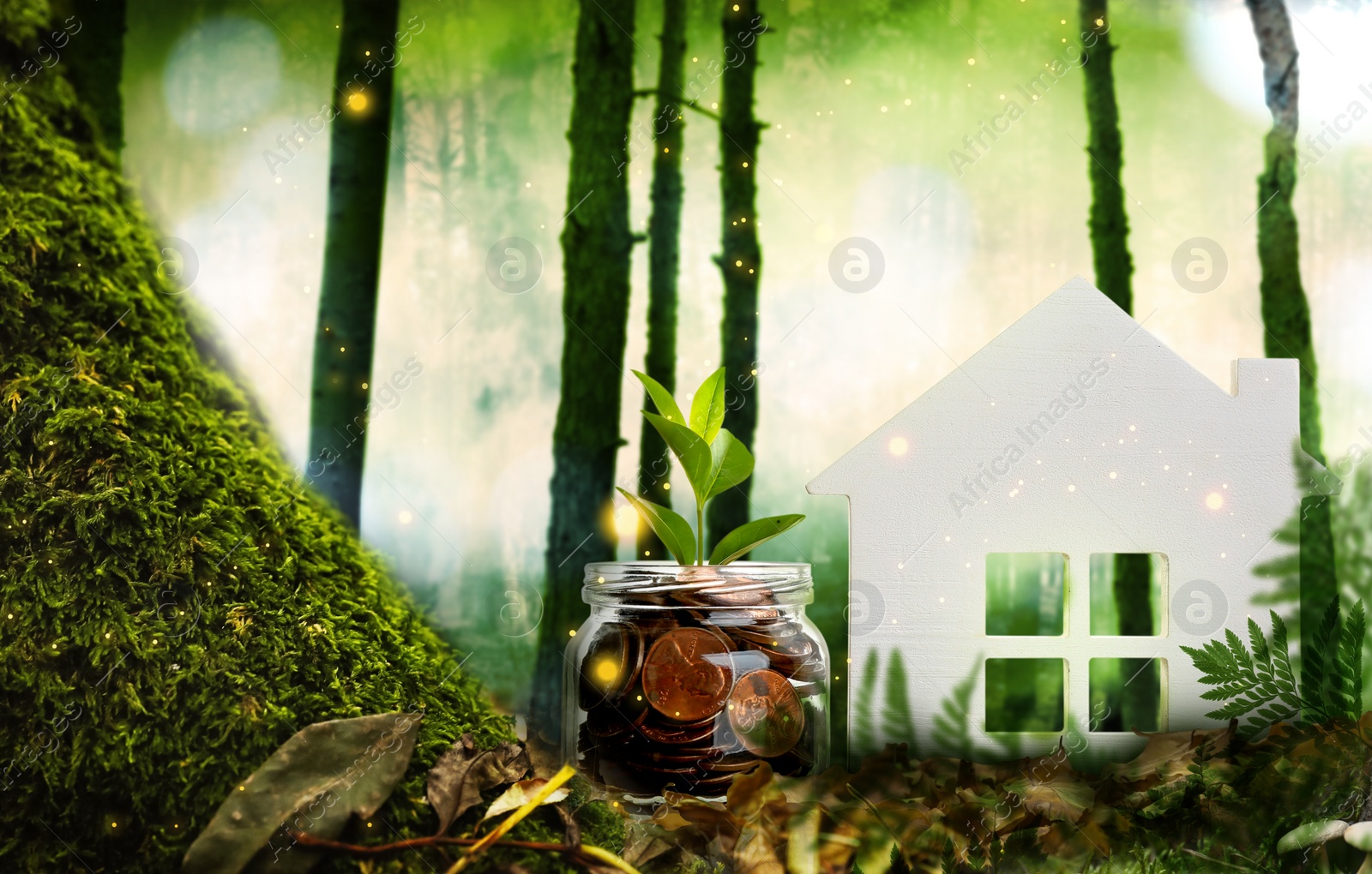 Eco friendly home. House model and jar with coins in forest Image of Eco friendly home. House model and jar with coins in forest