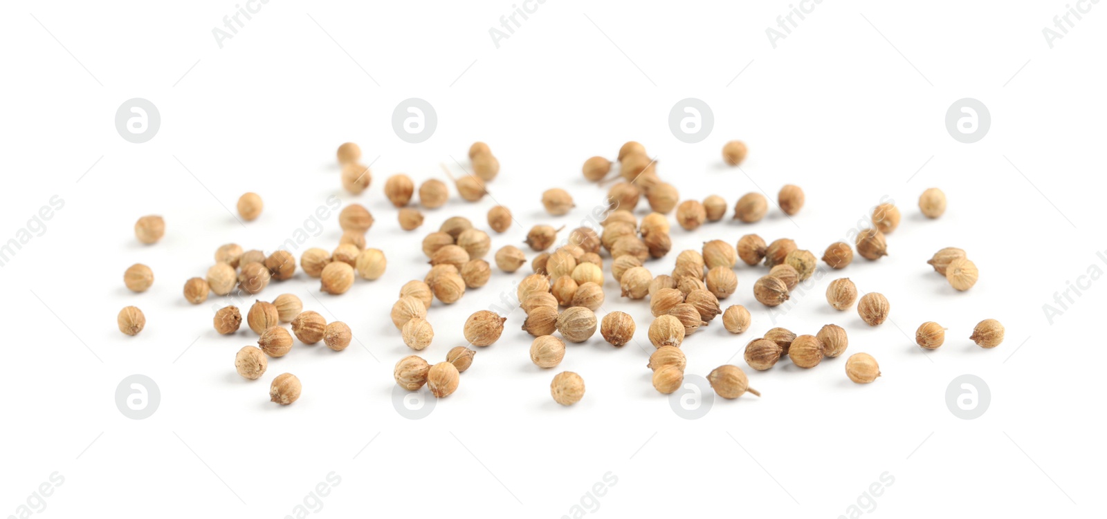 Scattered dried coriander seeds on white background Photo of Scattered dried coriander seeds on white background