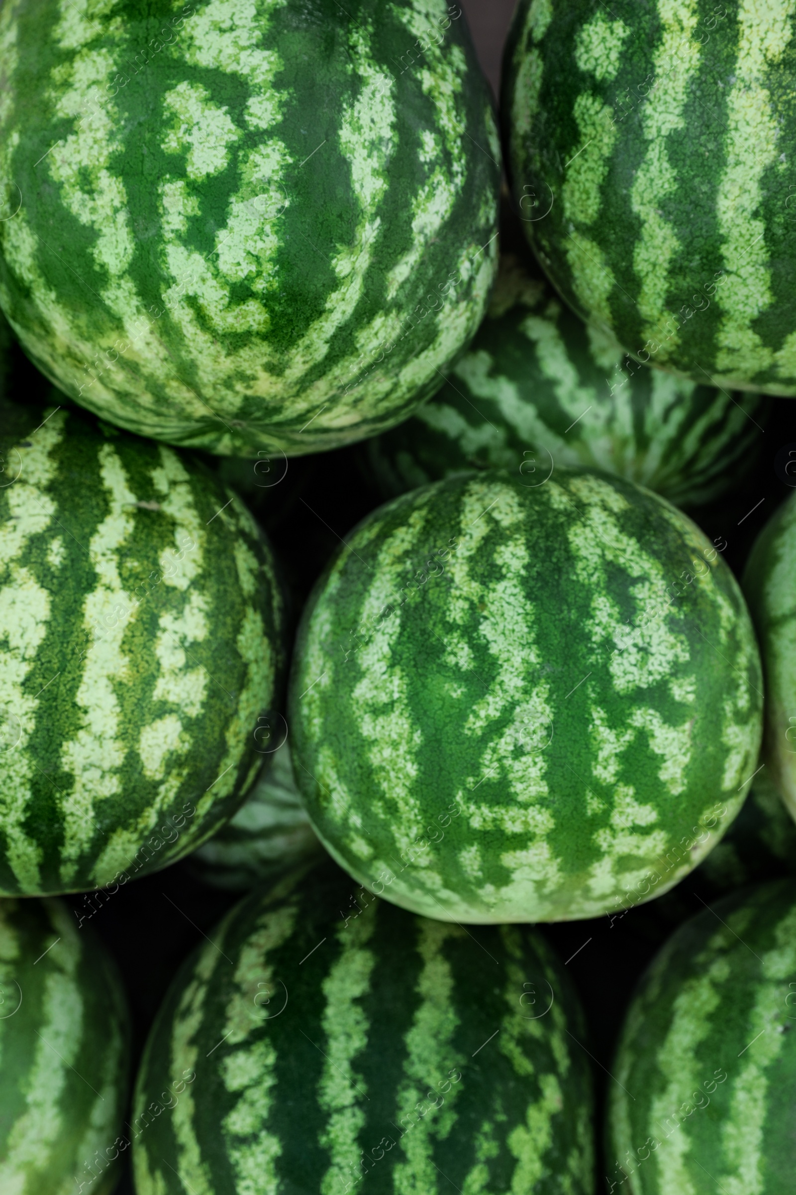 Delicious ripe watermelons as background, top view Photo of Delicious ripe watermelons as background, top view