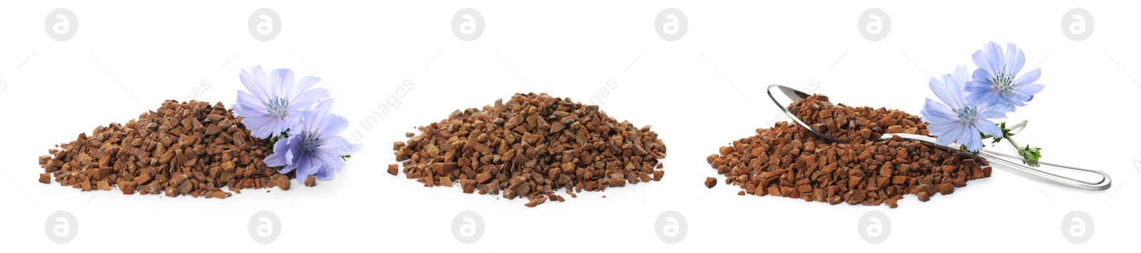 Set with chicory granules on white background. Banner design Image of Set with chicory granules on white background. Banner design