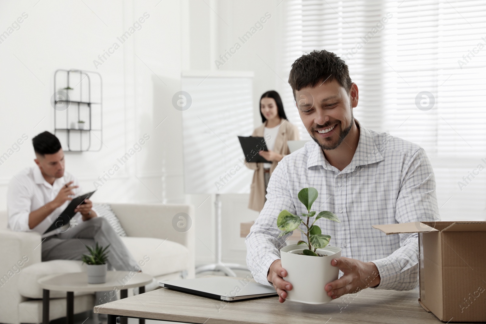 New coworker with plant at workplace in office Photo of New coworker with plant at workplace in office