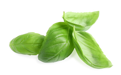 Photo of Fresh green basil leaves isolated on white