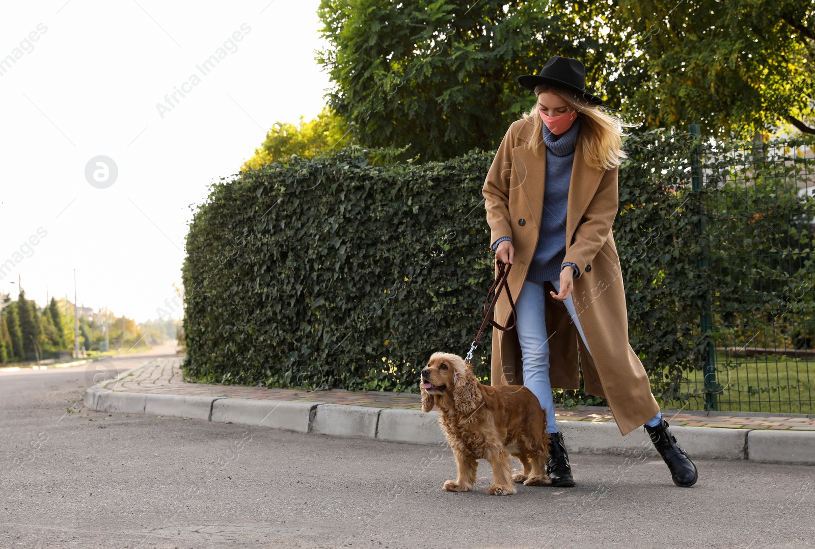 Woman in protective mask with English Cocker Spaniel outdoors. Walking dog during COVID-19 pandemic Photo of Woman in protective mask with English Cocker Spaniel outdoors. Walking dog during COVID-19 pandemic