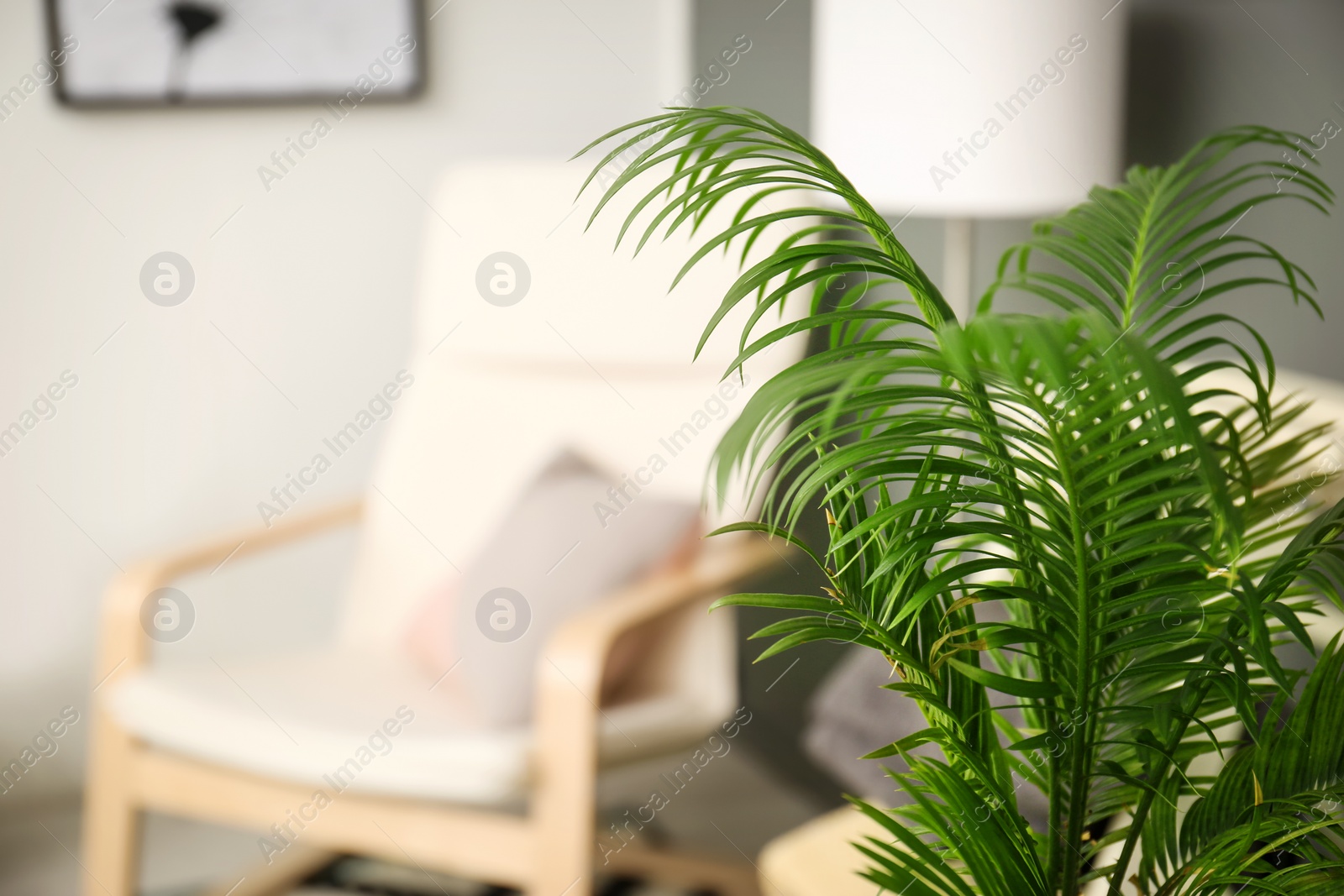 Tropical leaves in stylish interior design Photo of Tropical leaves in stylish interior design