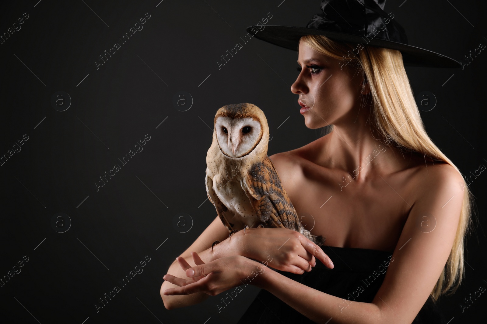 Witch in black hat with owl on dark background. Scary fantasy character Photo of Witch in black hat with owl on dark background. Scary fantasy character