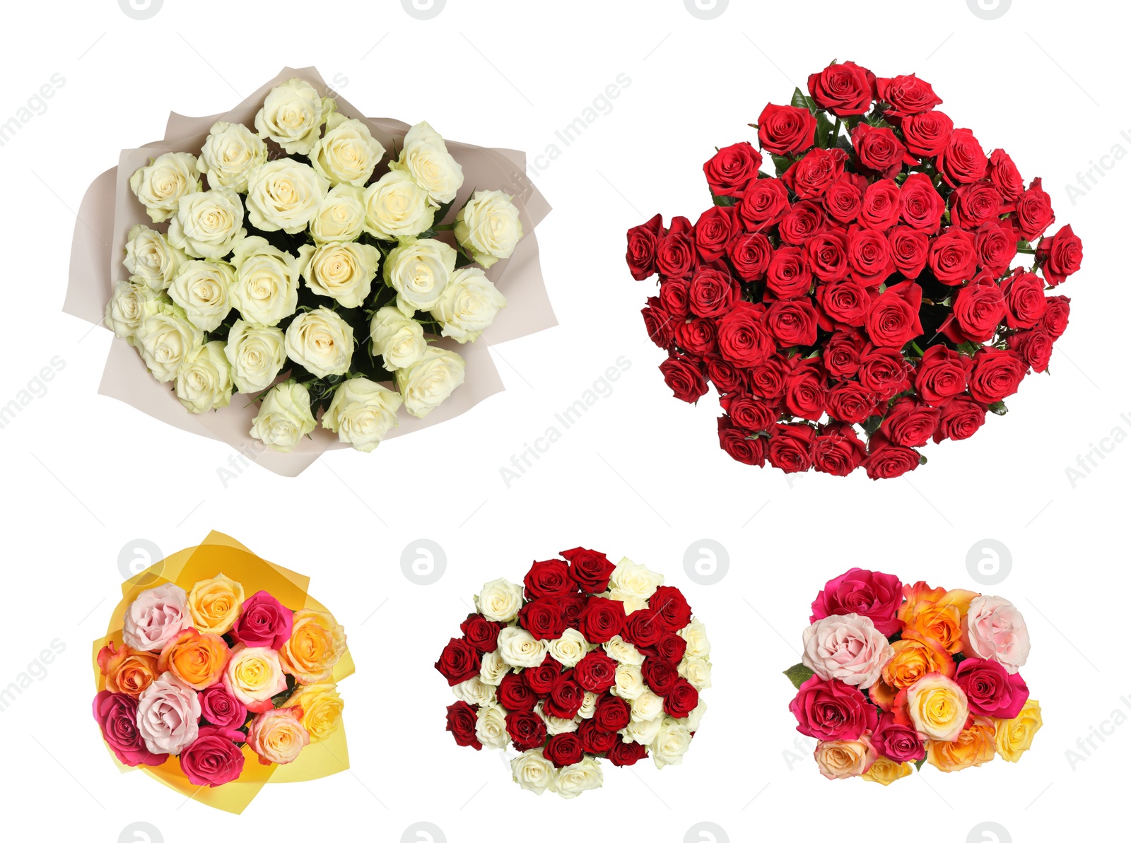 Set of beautiful rose bouquets on white background, top view Image of Set of beautiful rose bouquets on white background, top view