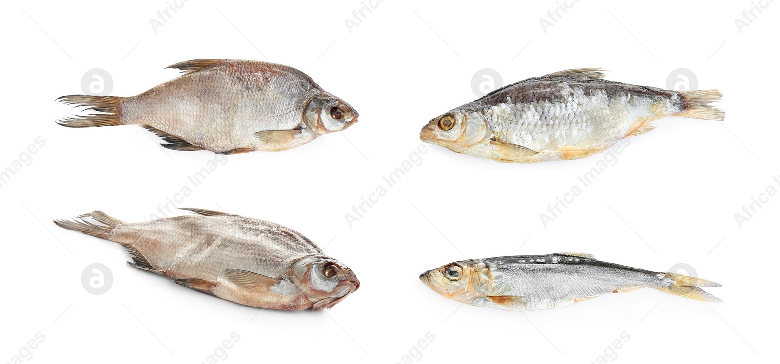 Set of tasty dry fish on white background Image of Set of tasty dry fish on white background