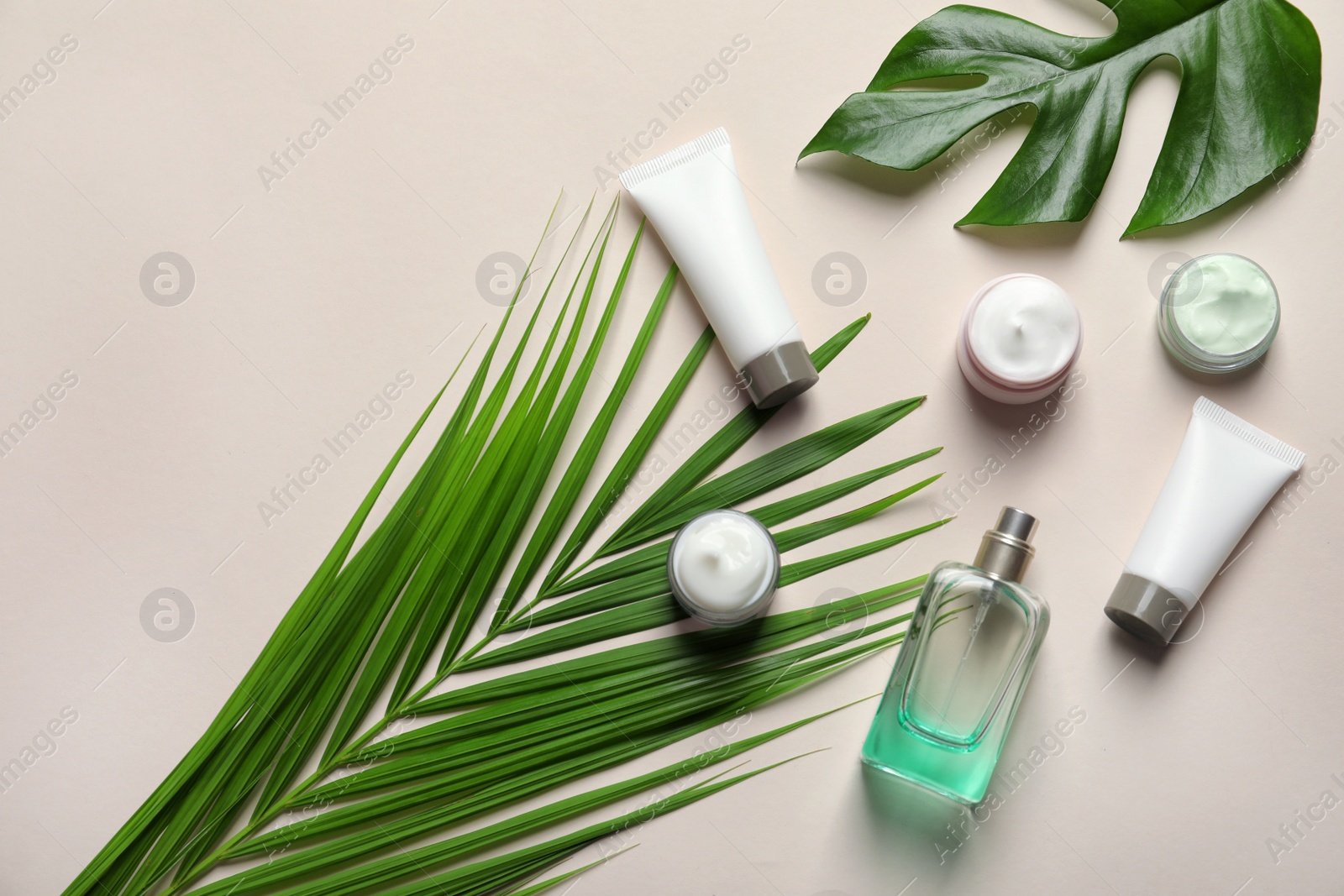 Different skin care cosmetic products with green leaves on light background, top view Photo of Different skin care cosmetic products with green leaves on light background, top view