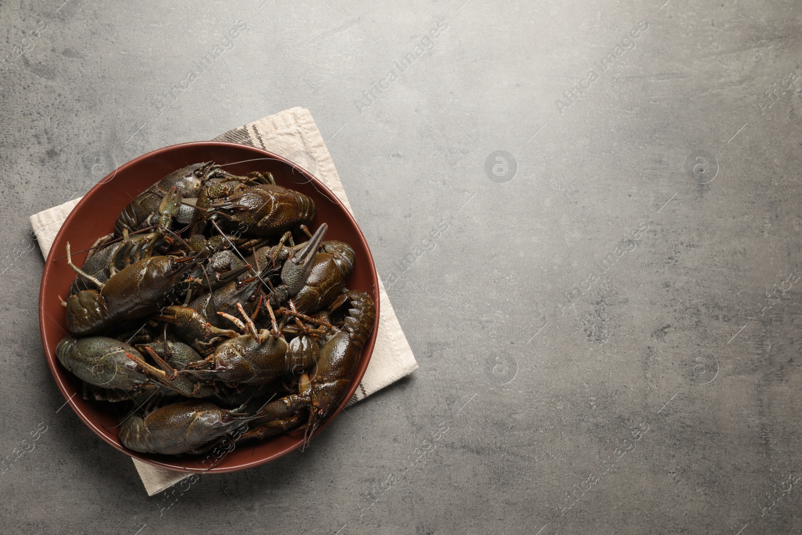 Fresh raw crayfishes on grey table, top view. Space for text Photo of Fresh raw crayfishes on grey table, top view. Space for text