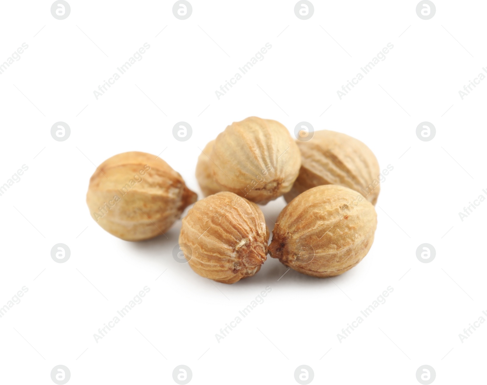 Heap of dried coriander seeds on white background, closeup Photo of Heap of dried coriander seeds on white background, closeup