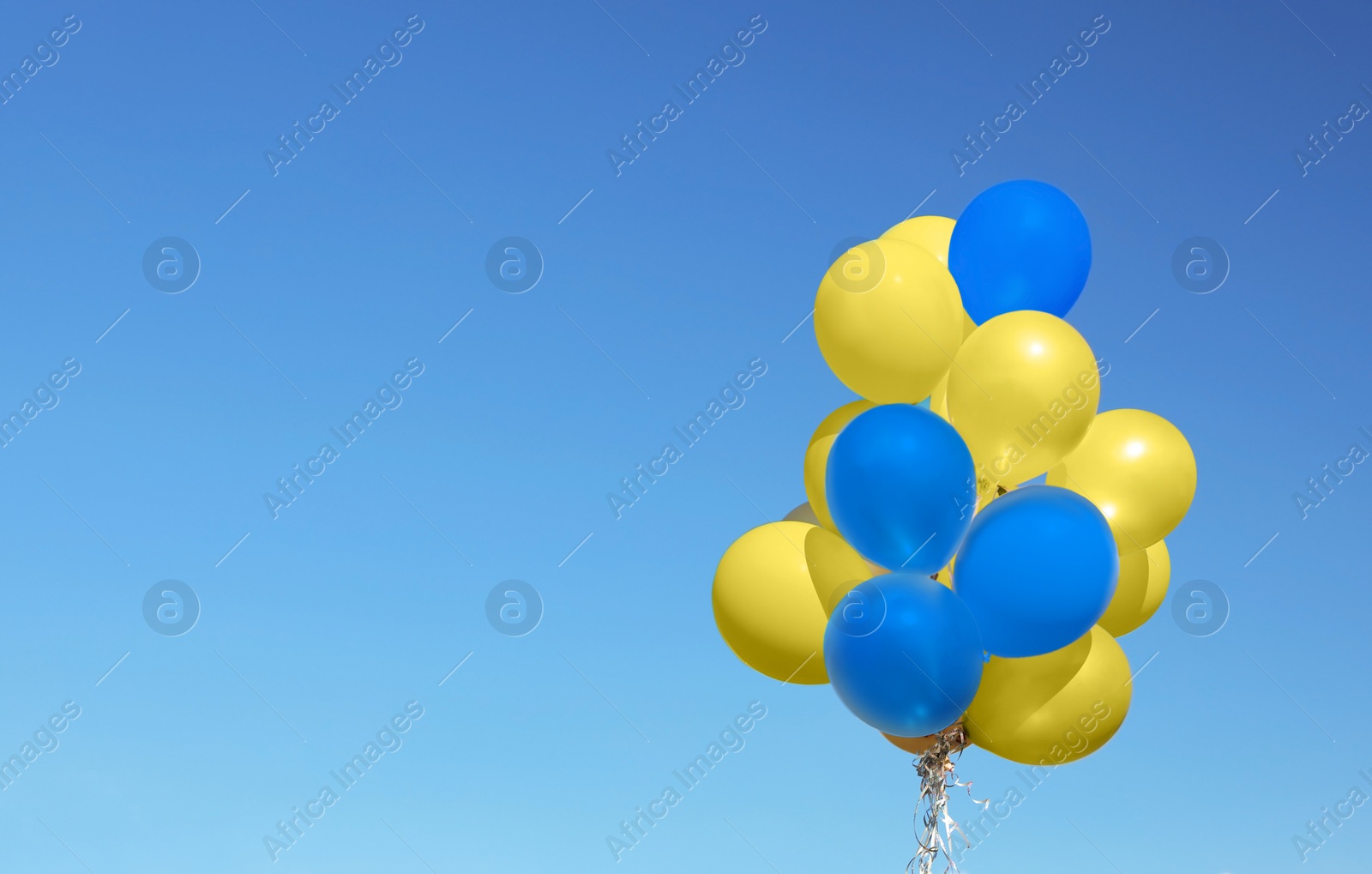 Many balloons in colors of Ukrainian flag against blue sky. Space for text Image of Many balloons in colors of Ukrainian flag against blue sky. Space for text