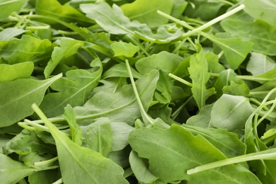 Many fresh arugula leaves as background, closeup Photo of Many fresh arugula leaves as background, closeup