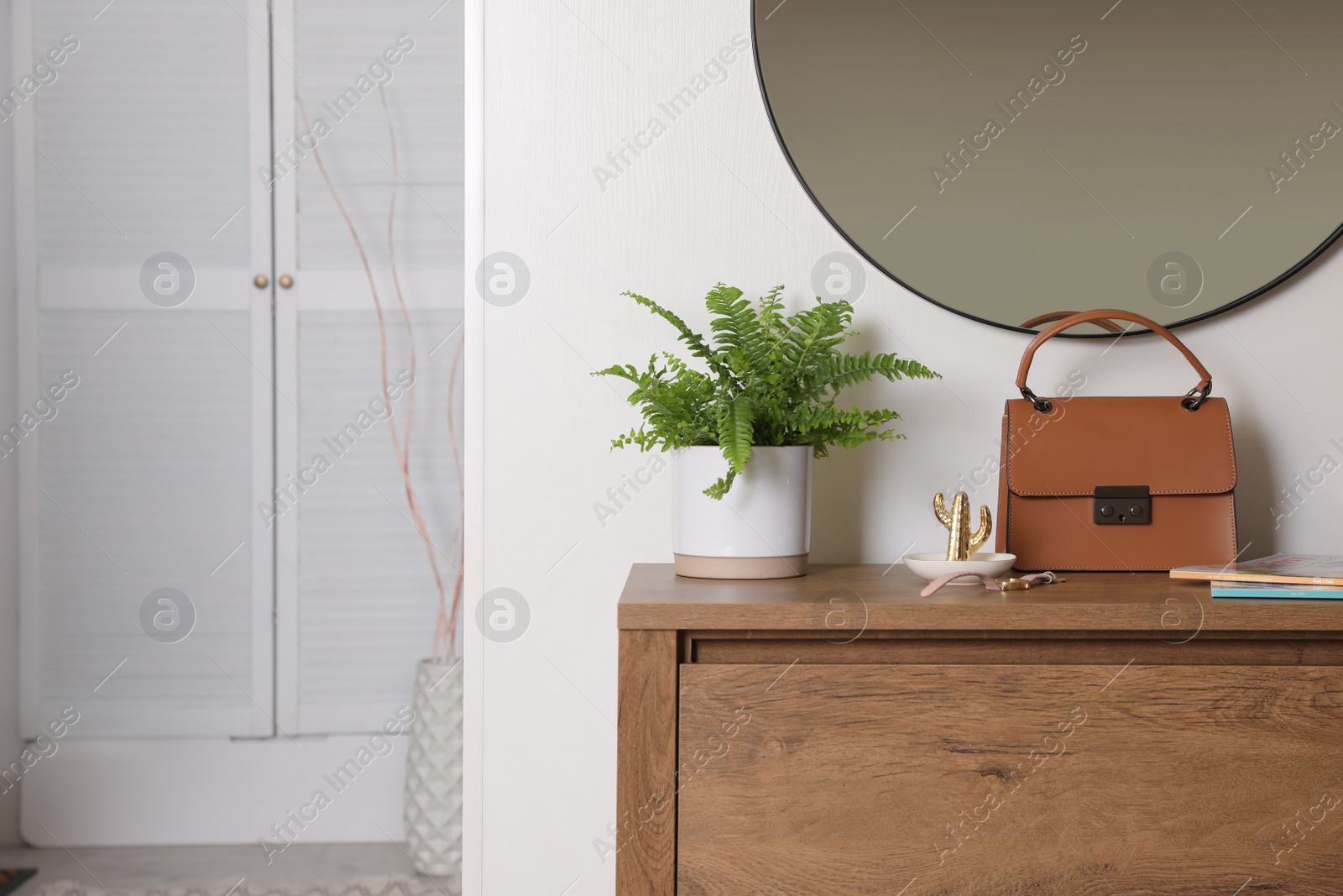 Beautiful potted fern and accessories on wooden cabinet in hallway. Space for text Photo of Beautiful potted fern and accessories on wooden cabinet in hallway. Space for text