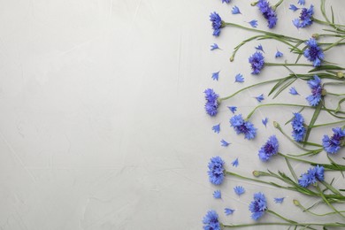 Beautiful blue cornflowers on light grey table, flat lay. Space for text Photo of Beautiful blue cornflowers on light grey table, flat lay. Space for text