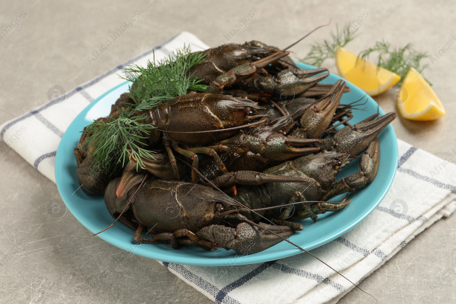Fresh raw crayfishes with lemon and dill on light grey table Photo of Fresh raw crayfishes with lemon and dill on light grey table