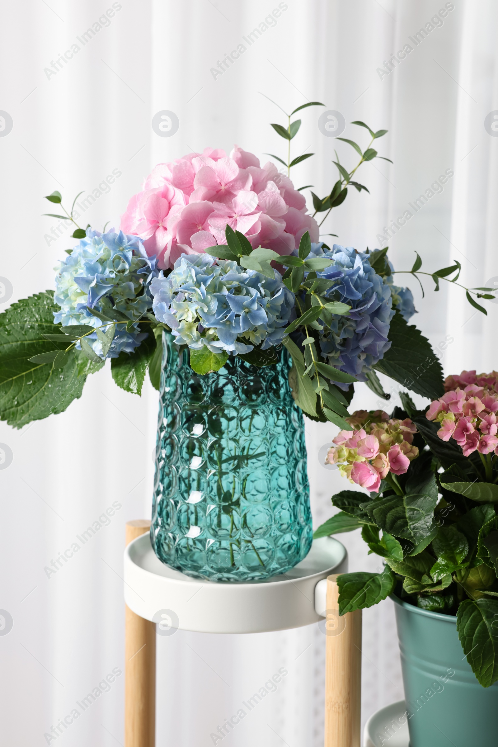 Beautiful hortensia flowers in vase on stand indoors Photo of Beautiful hortensia flowers in vase on stand indoors