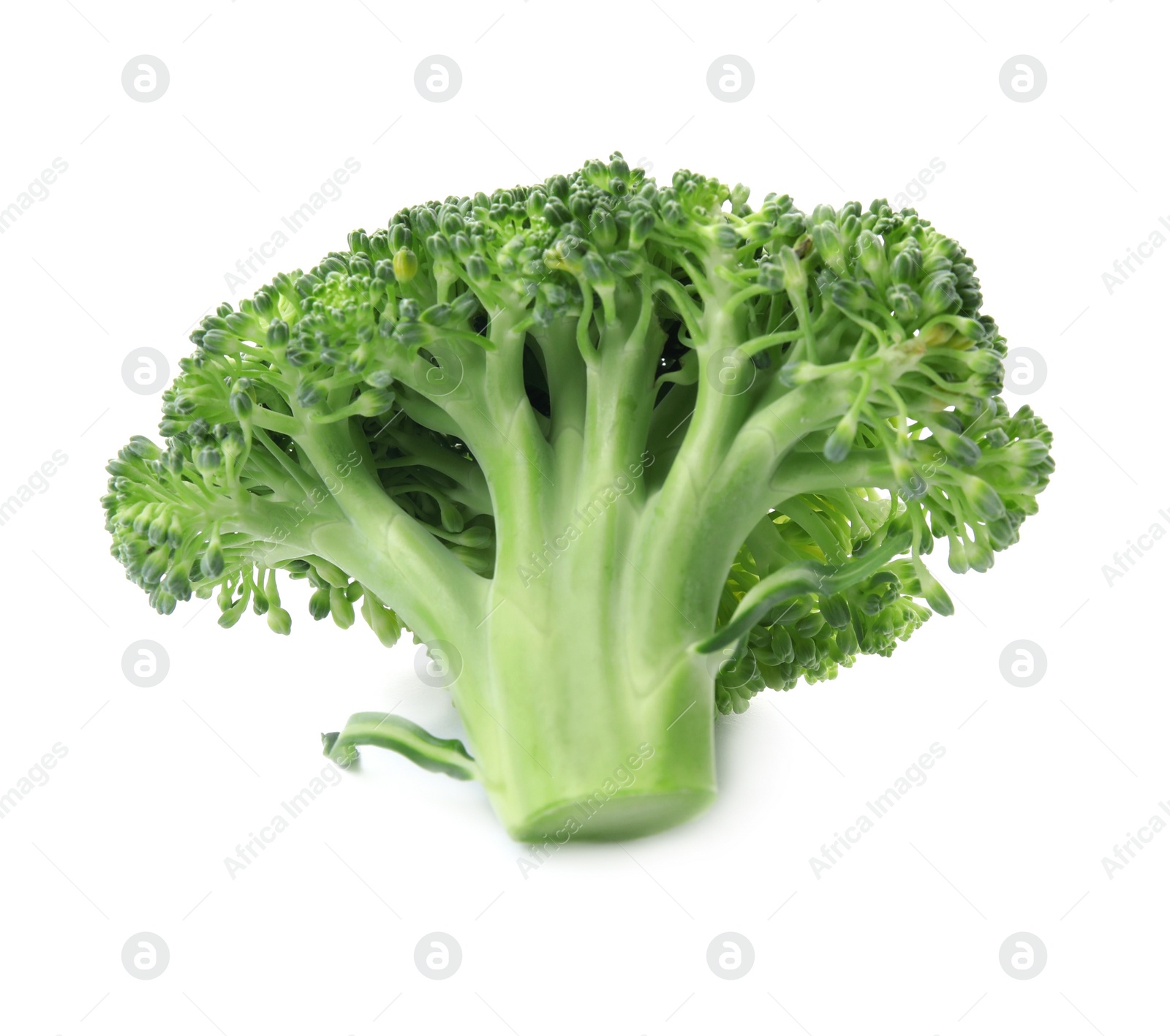 Fresh broccoli isolated on white. Edible green plant Photo of Fresh broccoli isolated on white. Edible green plant