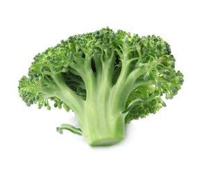 Fresh broccoli isolated on white. Edible green plant Photo of Fresh broccoli isolated on white. Edible green plant