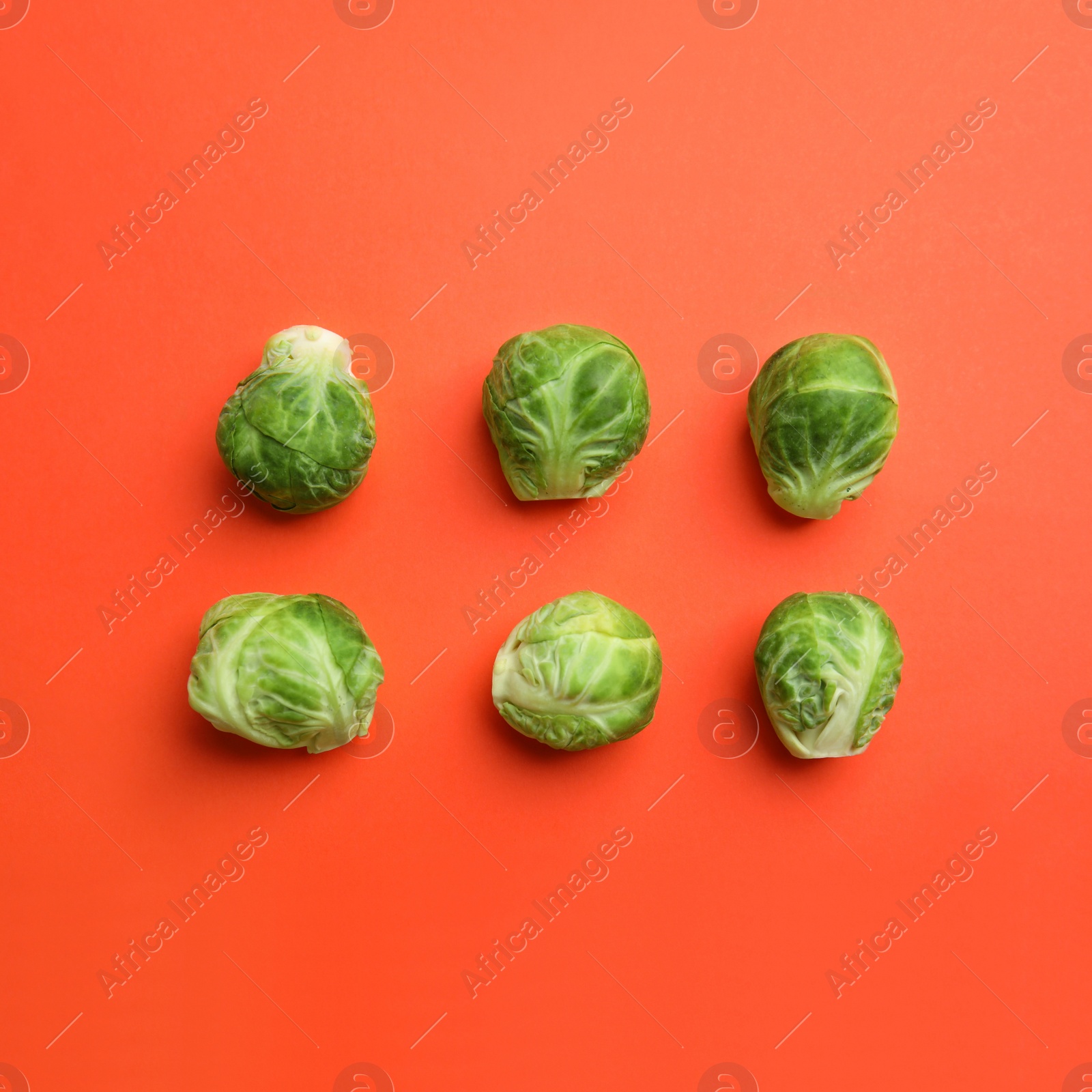 Fresh Brussels sprouts on coral background, flat lay Photo of Fresh Brussels sprouts on coral background, flat lay