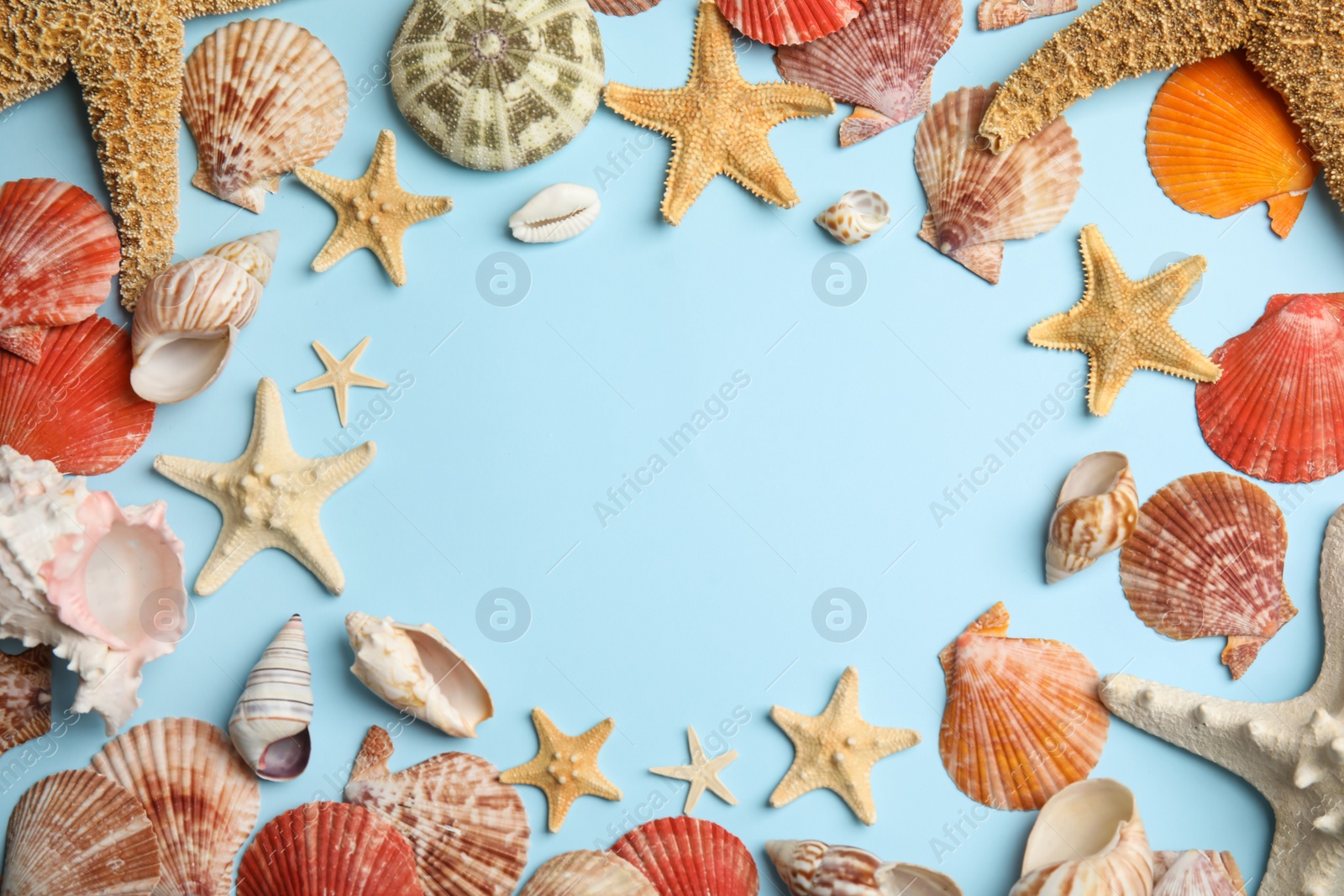 Frame of beautiful sea stars and shells on light blue background, flat lay. Space for text Photo of Frame of beautiful sea stars and shells on light blue background, flat lay. Space for text