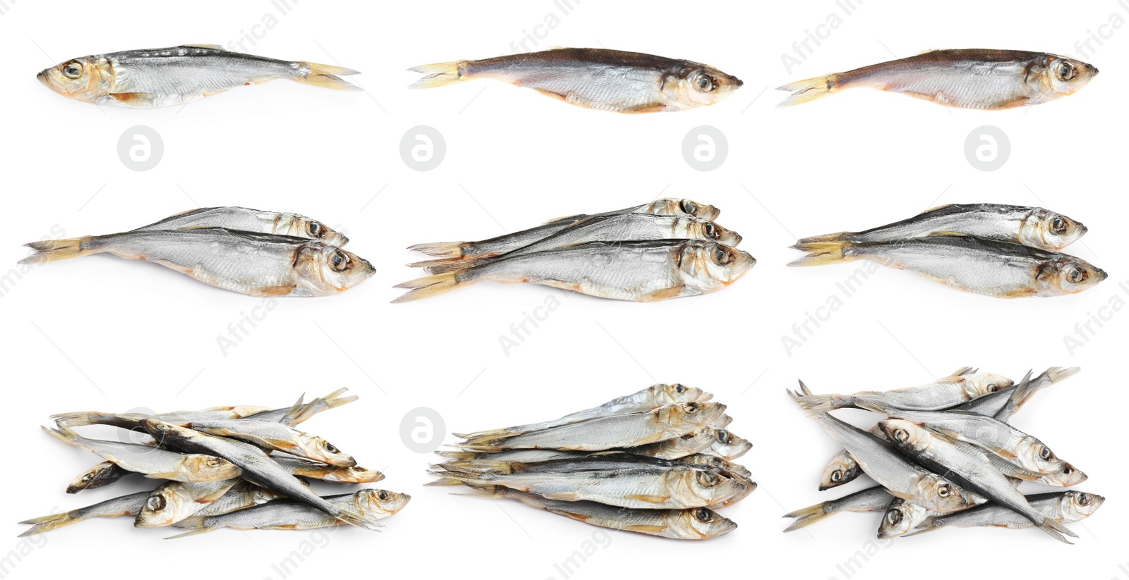 Image of Set of tasty dry fish on white background