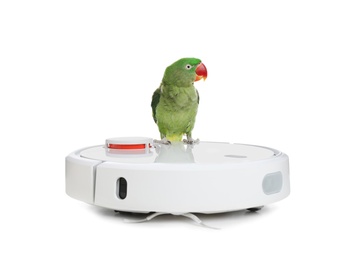 Modern robotic vacuum cleaner and Alexandrine parakeet on white background Photo of Modern robotic vacuum cleaner and Alexandrine parakeet on white background