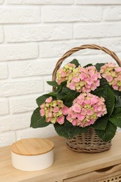 Photo of Beautiful blooming pink hortensia in wicker basket on table near white brick wall. Space for text