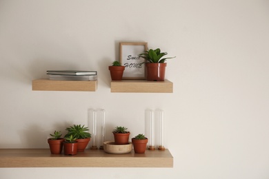 Wooden shelves with beautiful plants and different decorative elements on light wall. Space for text Photo of Wooden shelves with beautiful plants and different decorative elements on light wall. Space for text