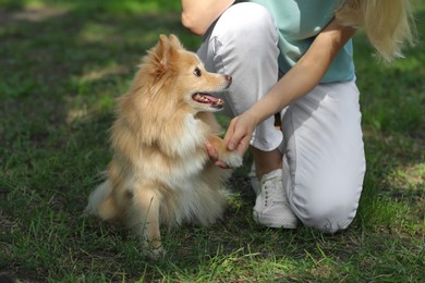 Young woman with her cute dog in park, closeup Photo of Young woman with her cute dog in park, closeup