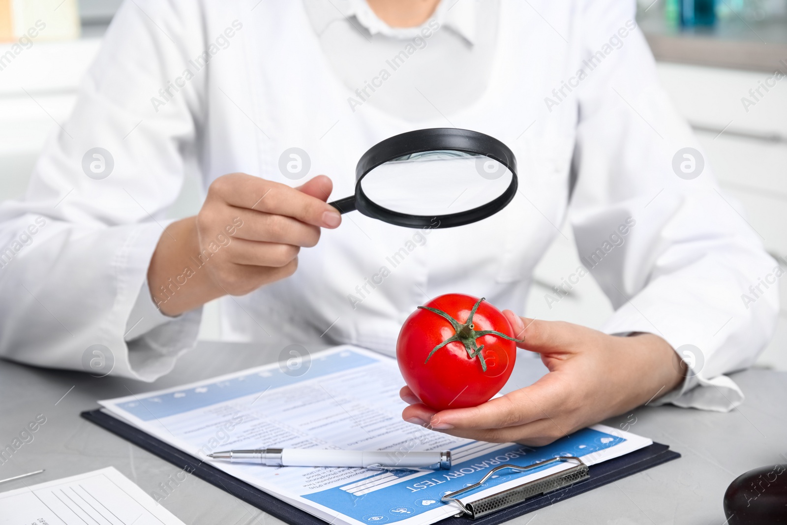 Scientist with magnifying glass exploring tomato at table in laboratory, closeup. Poison detection Photo of Scientist with magnifying glass exploring tomato at table in laboratory, closeup. Poison detection