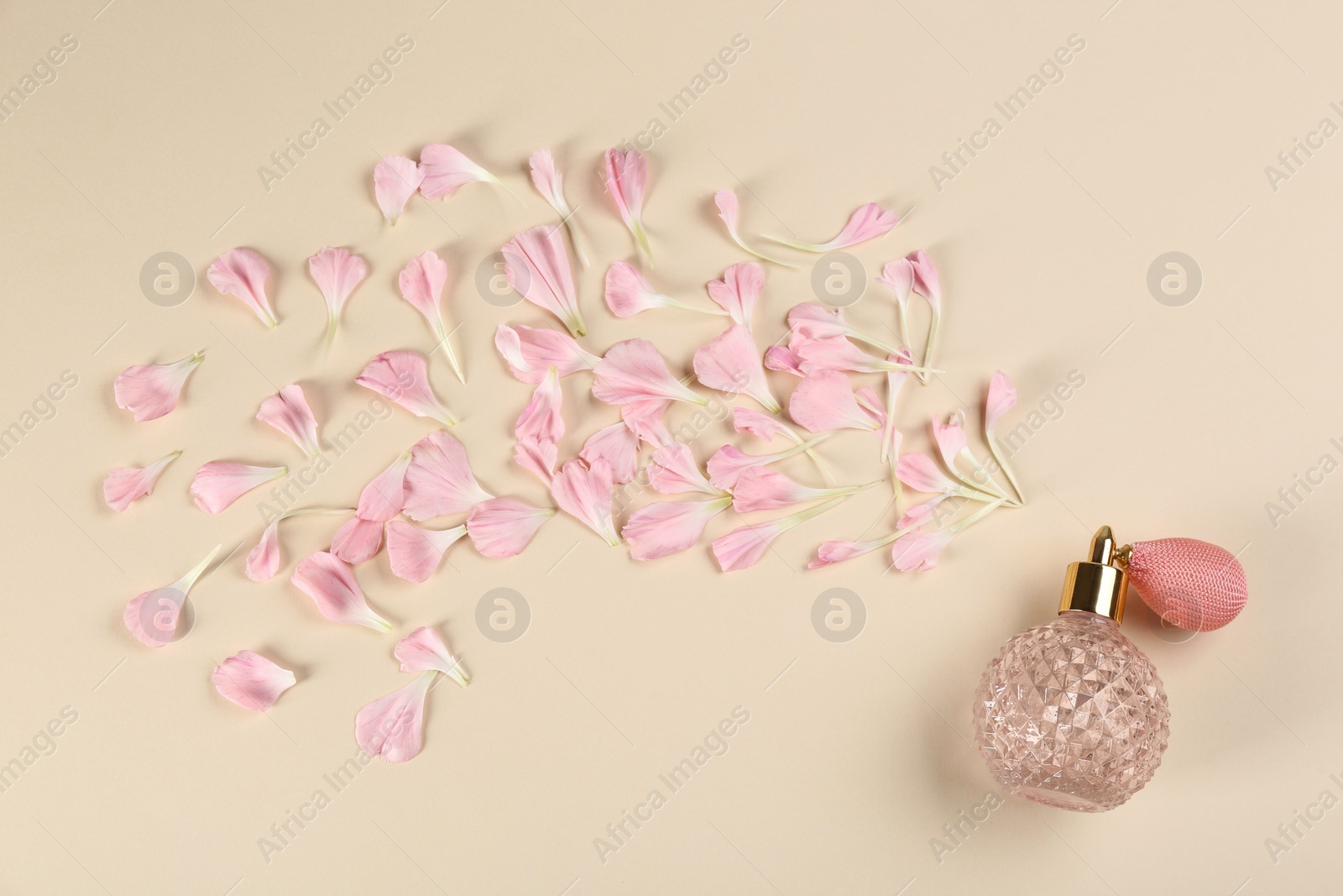 Flat lay composition with bottle of perfume on beige background Photo of Flat lay composition with bottle of perfume on beige background
