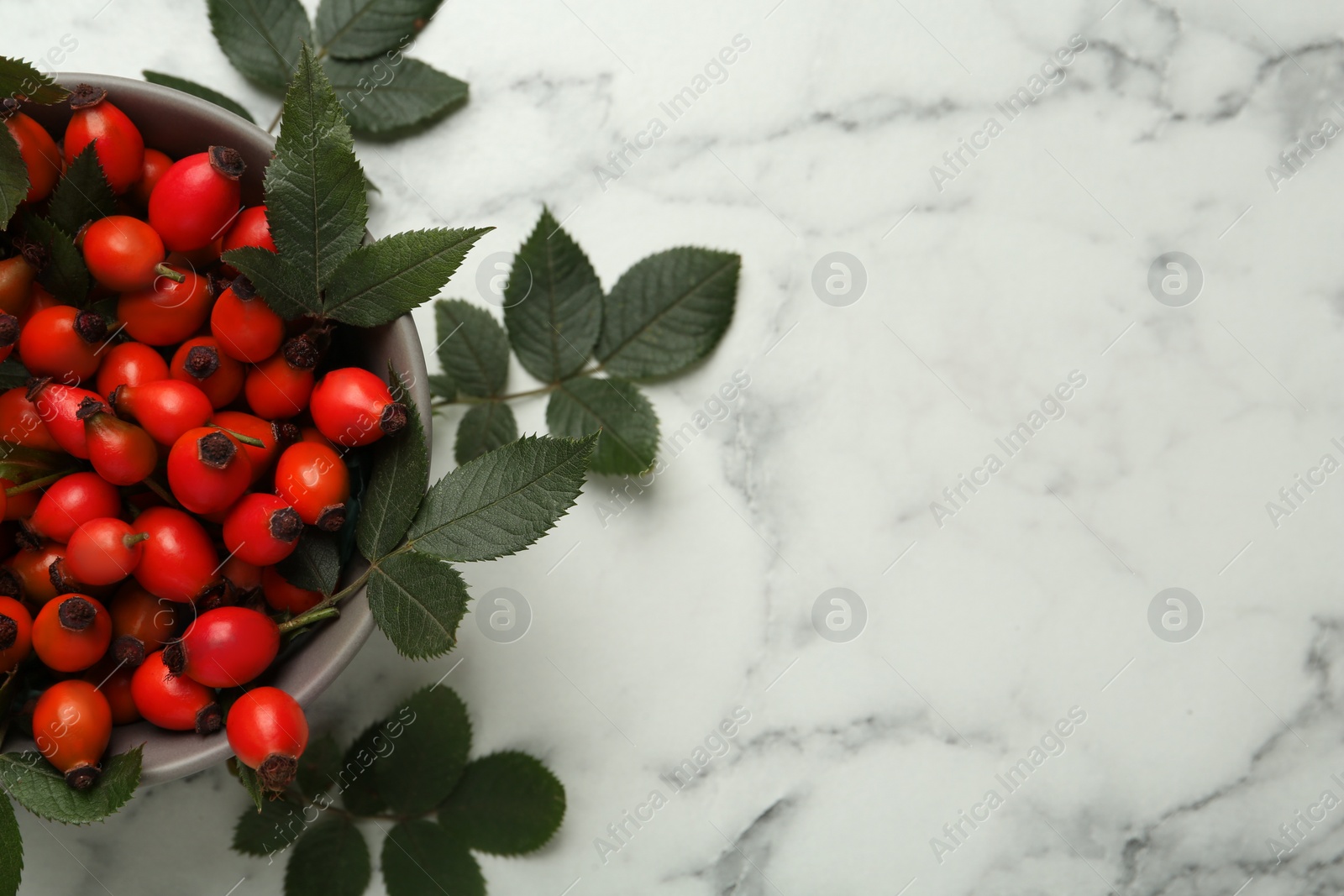 Ripe rose hip berries with green leaves on white marble table, flat lay. Space for text Photo of Ripe rose hip berries with green leaves on white marble table, flat lay. Space for text