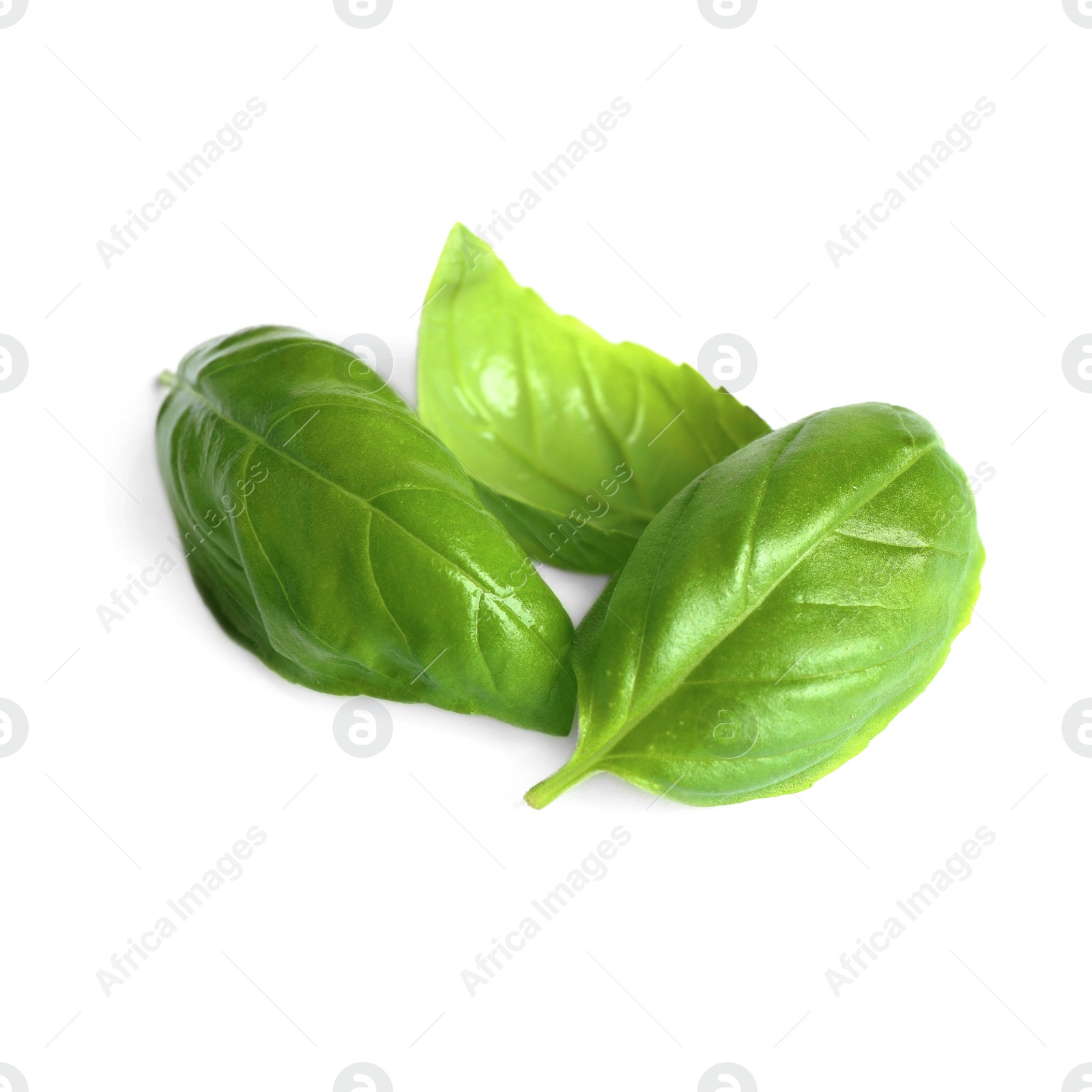 Photo of Fresh green basil leaves isolated on white