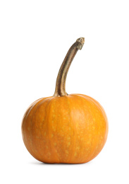 Fresh ripe pumpkin isolated on white background. Autumn season Photo of Fresh ripe pumpkin isolated on white background. Autumn season