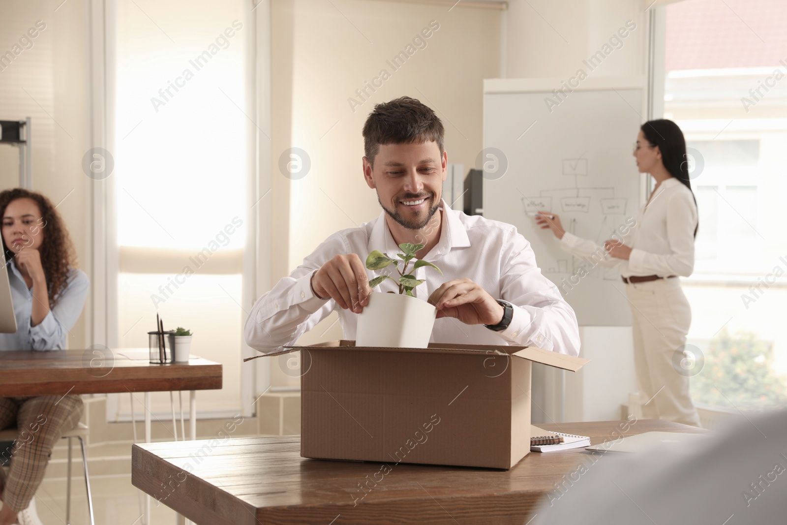 New coworker unpacking box with personal items at workplace in office Photo of New coworker unpacking box with personal items at workplace in office