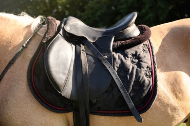 Leather saddle with stirrups on horse, closeup Photo of Leather saddle with stirrups on horse, closeup