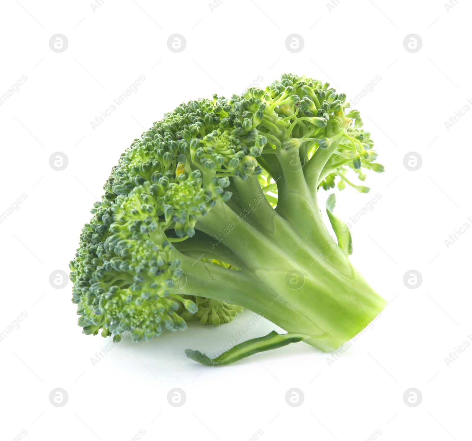 Fresh broccoli isolated on white. Edible green plant Photo of Fresh broccoli isolated on white. Edible green plant