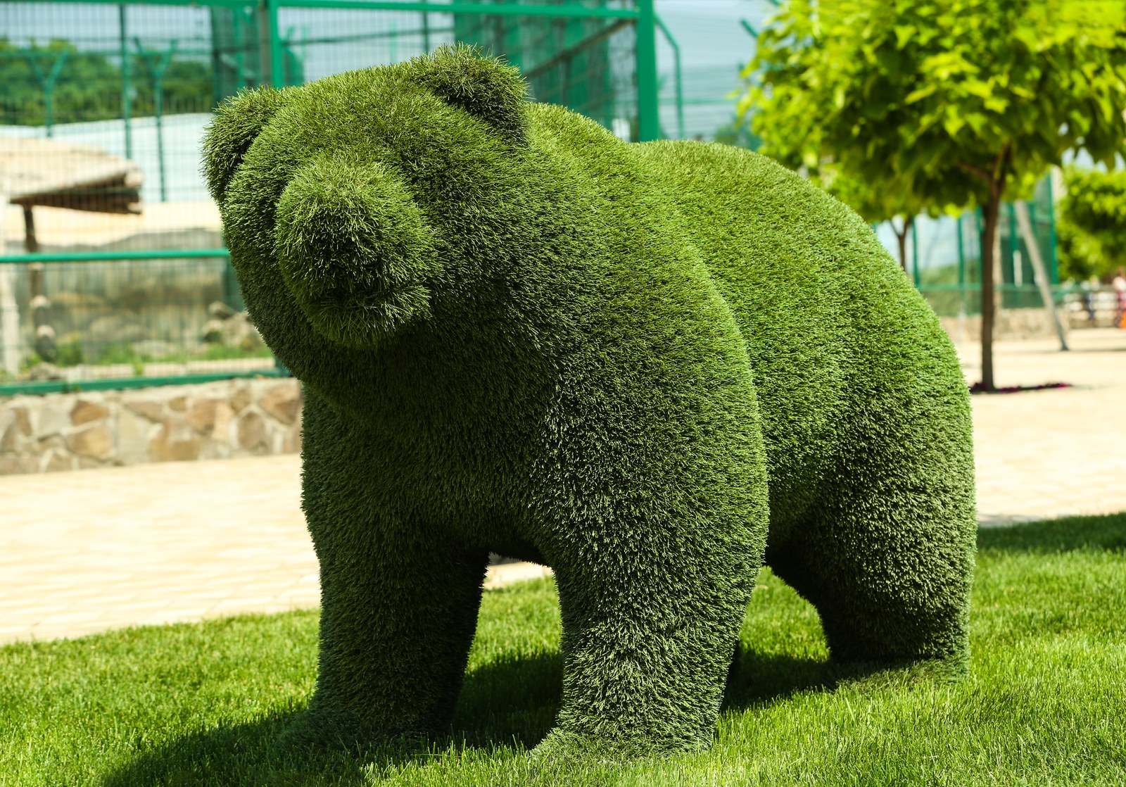 Beautiful bear shaped topiary at zoo on sunny day. Landscape gardening
