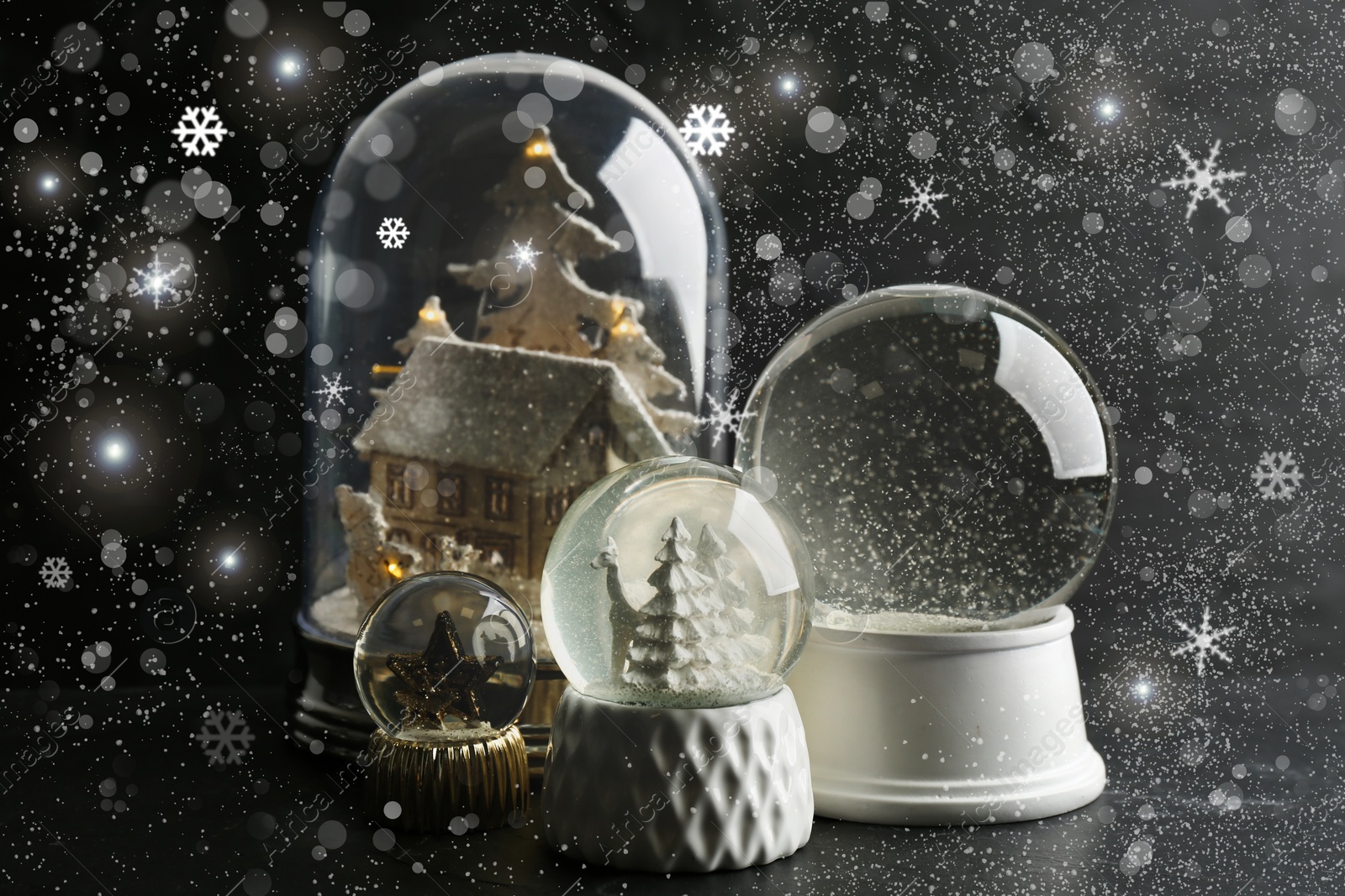 Beautiful Christmas snow globes on dark grey background with snowflakes and bokeh effect Image of Beautiful Christmas snow globes on dark grey background with snowflakes and bokeh effect